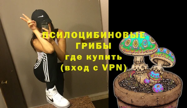 мескалин Инта