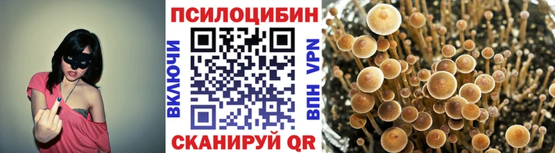 Галлюциногенные грибы мухоморы  Купить  Буй 